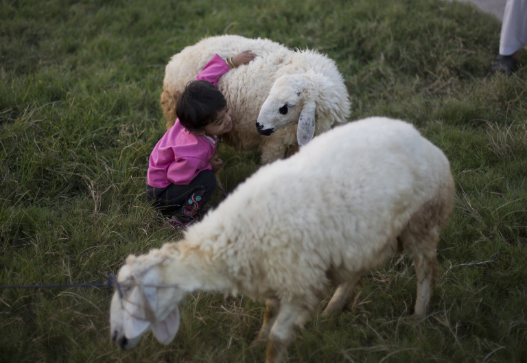 Qurbani, Ritual and Religion