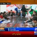 PIA Privatization ?