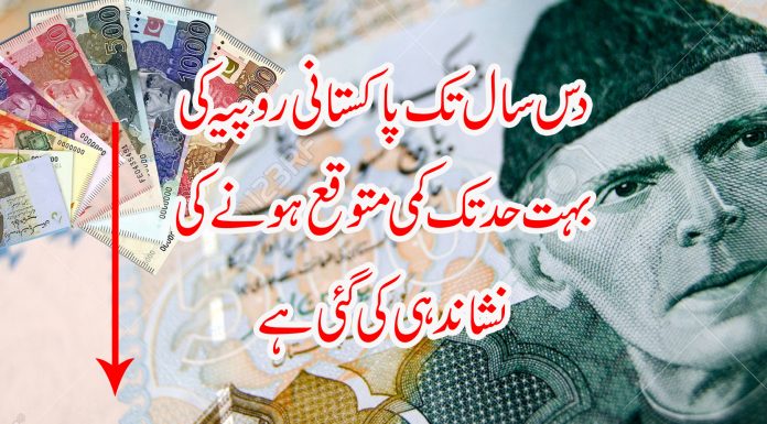 moonis-elahi-pakistani-rupee-will-be-worthless-in-10-years-from-now
